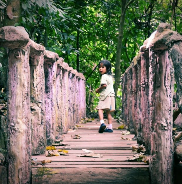 26804750_10215407895655867_1353967294640964925_n